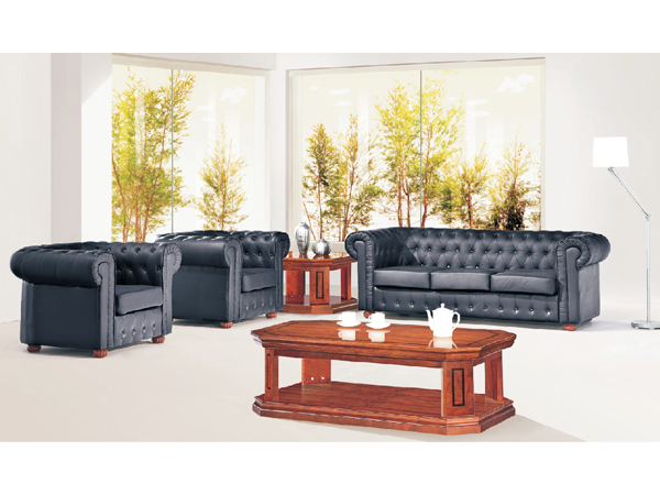 luxury furniture sofa set EKL-6652