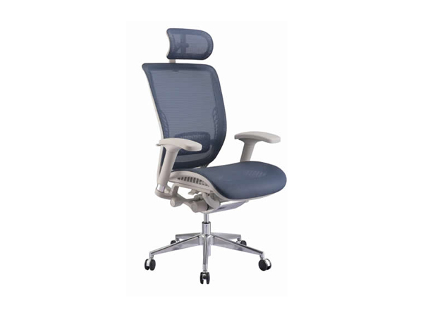 blue ergonomic office chair EK01-G