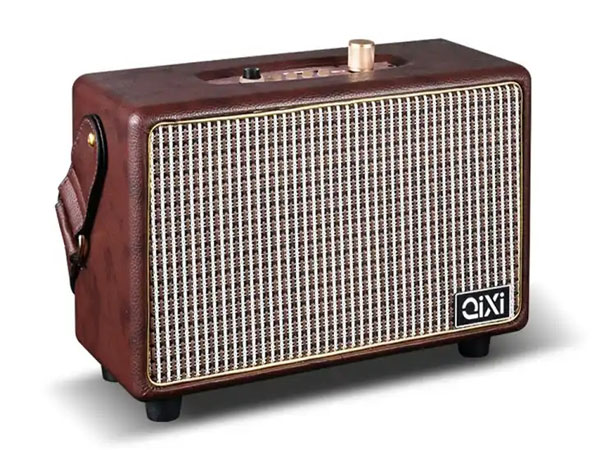 Portable outdoor dancing singing speaker